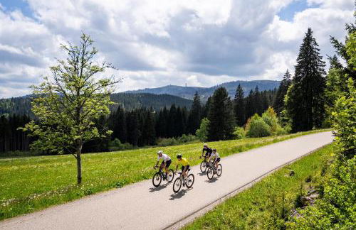 Schwarzwaldglück - Foto 22