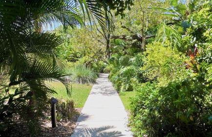 Conch in the Treetops by Last Key Realty - Foto 40