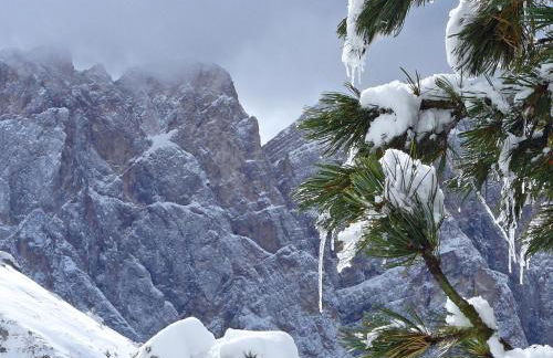 Living Puez - Photo 22