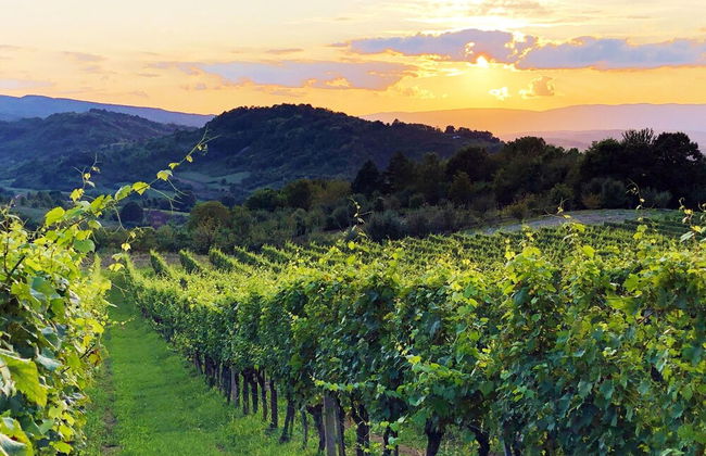 Rural Homestead Trenkovo - Foto 26