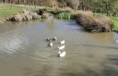 Pant yr onen holidays - Photo 36