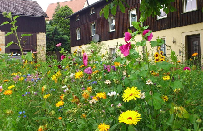 Sachsischer Familienurlaub, Struppen - Foto 14