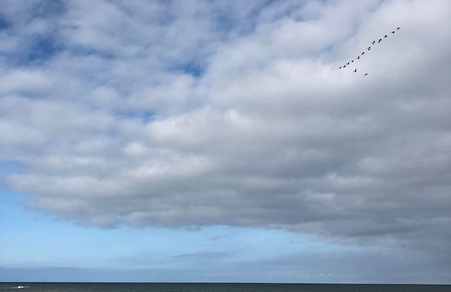 Cornwall Cottages - Helscott Barns - Foto 30