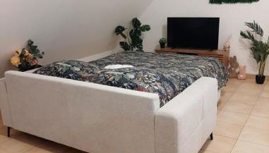 proche aéroport a pied O fleuri - Foto 5