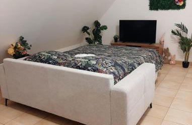 proche aéroport a pied O fleuri - Foto 5