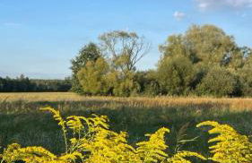 Guesthouse with 3 apartments, just outside Berlin, near to Tesla - Foto 23