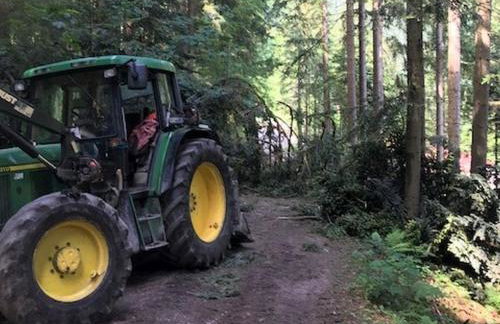 Waldbauernhof - Photo 26