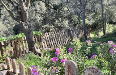 Alcarria , Casa del Agua - Foto 31