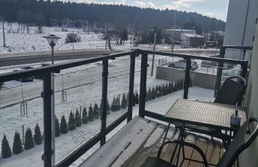 Apartament Widok Polana Szaflarska - Foto 19