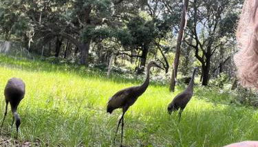 Half Moon Lake property - Foto 2