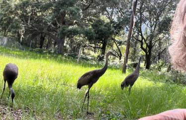 Half Moon Lake property - Foto 2