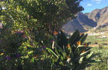 Casa Rural La Pitanga - Foto 25