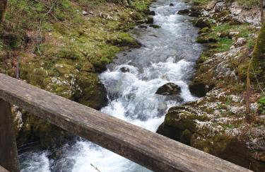 Apartman Denis - Foto 15