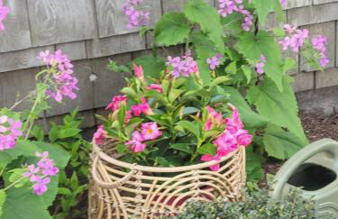 Cape Cod Bungalow Walk to Beach Firepit - Foto 35