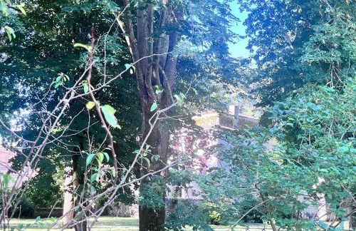 Gîte La Petite Cour - Foto 13