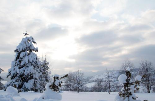 Holiday Homes Vita Natura - Foto 56