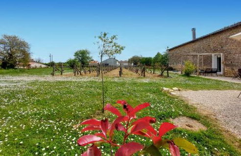 Holiday Home On A Vineyard - Foto 14