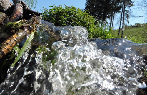 Seveniger Mühle - Foto 6