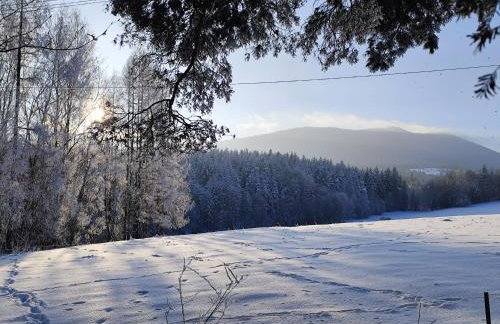 ZALASEK Gospodarstwo Agroturystyczne z Alpakami - Foto 6