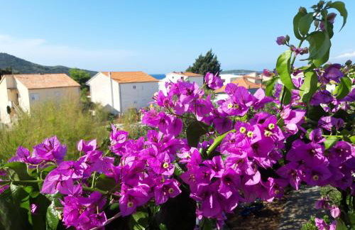 Apartman dida Jakov - Foto 17