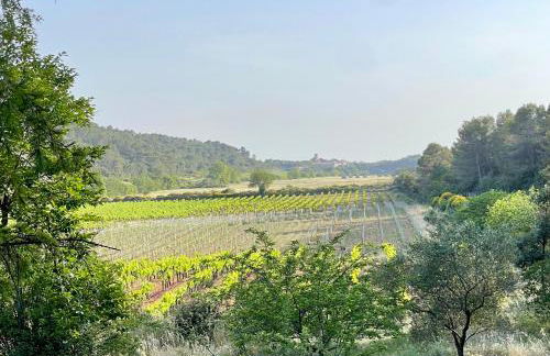 Château de Gragnos - Foto 8