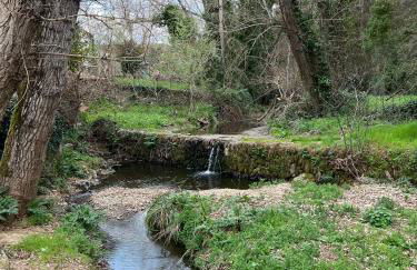 La Casa del Castaño - Foto 21