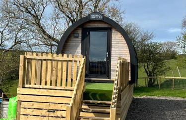 Carmel Pod - Photo 1