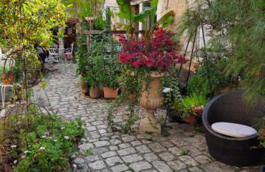 Terra-Crystal - Foto 8