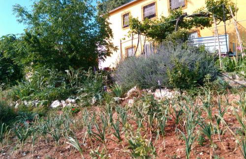 Cortijo de la Cruz - Foto 43