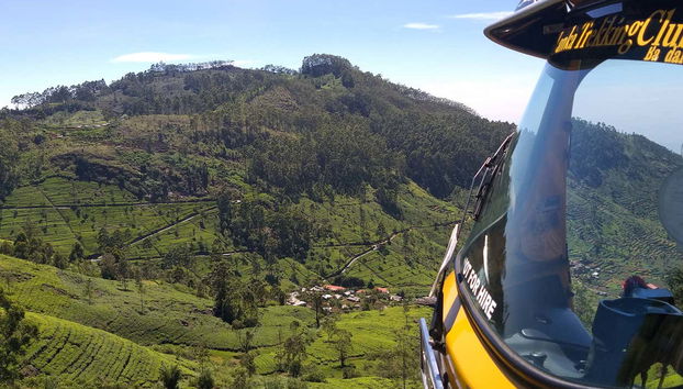 Plantations de thé de Haputale