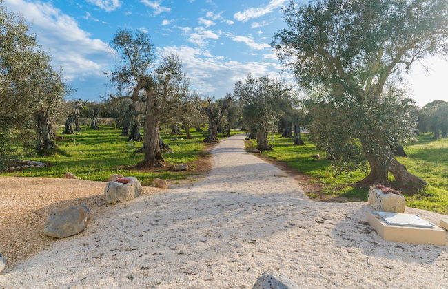 Stunning Villa Surrounded by Olive Trees - Beahost - Foto 72