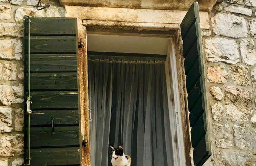 House Sidro, Stari Grad - Photo 41