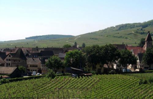Plein Sud vue sur les Vosges et le vignoble - Foto 39