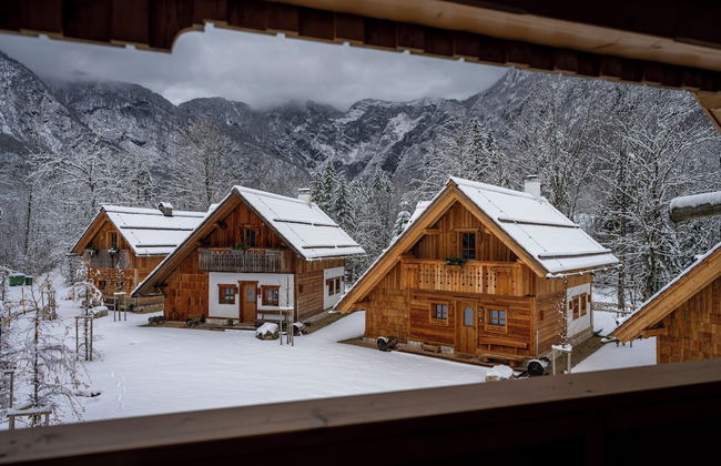 ALPIK Chalets - Bohinj - Foto 49