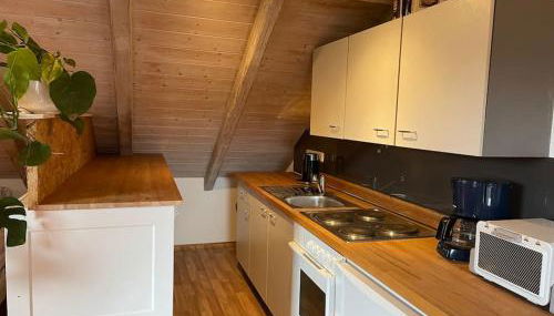 Sonnige 2-Zimmer Wohnung unterm Dach - Foto 3, stove, pet friendly
