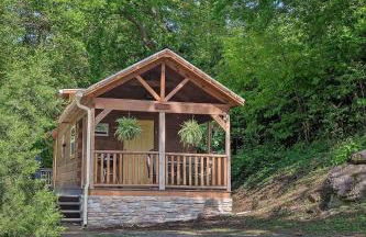 Elise Cabin Forest Retreat 5 Mins To Downtown - Foto 11