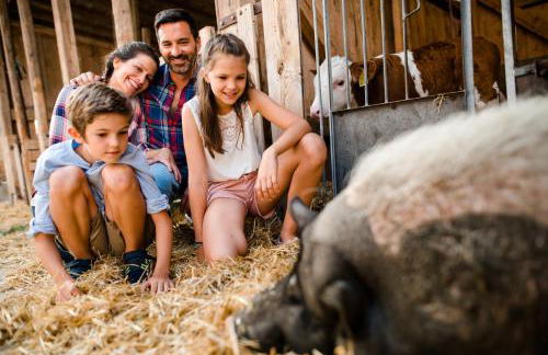 Bernwieserhof - Foto 35