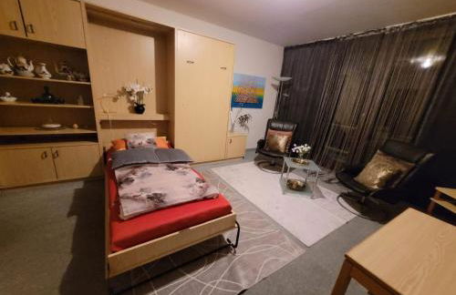 Appartement an der Weinstraße Bad Bergzabern - Foto 7