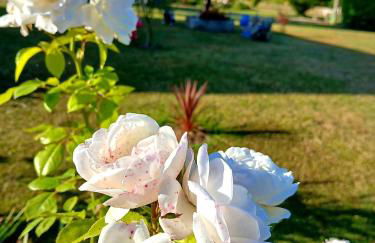 gîte en campagne Lamégritnière - Foto 47