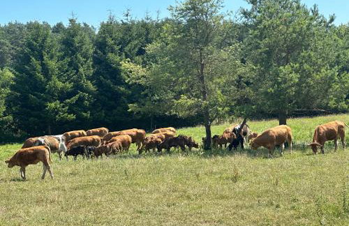 Giżycko-Przerwanki Domki Widok na Mazury - Foto 75