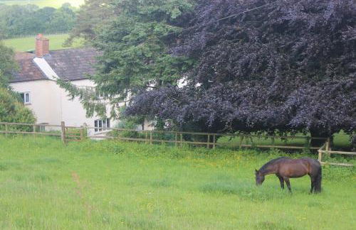 Pardlestone Farm – Self-Catering Cottages - Foto 37