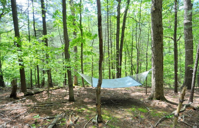 Cabin at Sleepy Creek - Charming Cabin - Foto 18