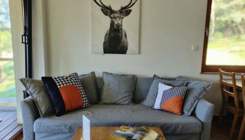 Siedlisko Rogówko: Dom Drwala - Foto 3, pet friendly