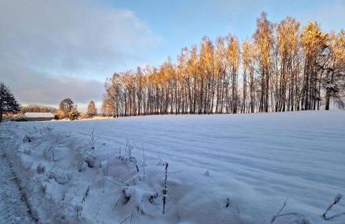 Domek Konrad - balia ogrodowa dodatkowo płatna - Foto 69