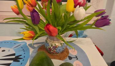 Full House 10 min to city centre, direct train to airport and self check-in - Foto 3