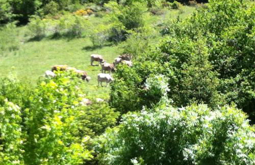 Apartamentos Ca de Marti - Foto 22