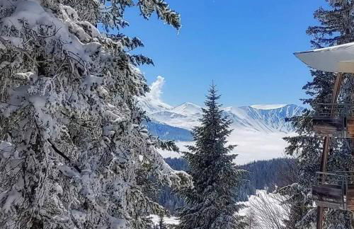 Chamrousse 1700 - Les Domaines de LArselle - Silènes C32 - Classé 3 étoiles- Vue sur les montagnes - - Foto 22