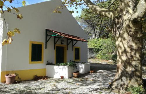 Montejunto Villas - Casa do Plátano - Foto 18