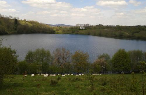 Eifeler Finnhaus mit Sauna, Mühlenberg 13 - Foto 46