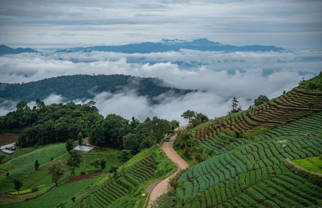 Mon Sai Lom Monjam - Photo 76